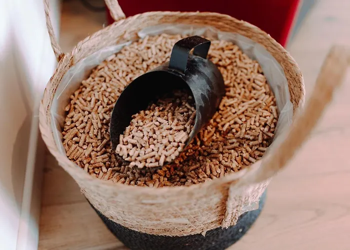 Chalet Boreal Avec Bain A Bulles - In The Woods Gesves